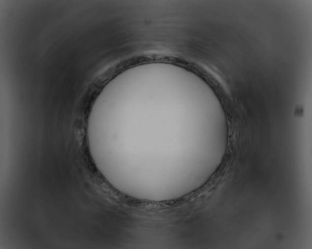 X0000101971015200807180721