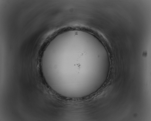 X0000101971016200807180721