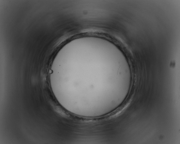 X0000101971017200807180721