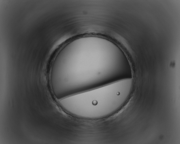 X0000101971018200807180721