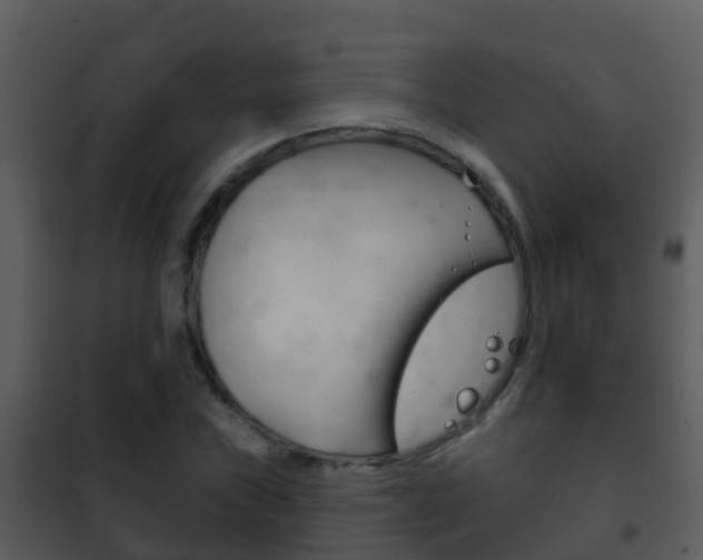 X0000101971019200807180721