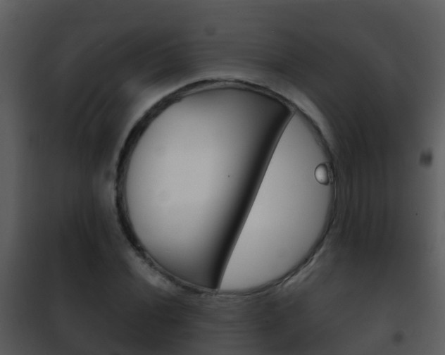 X0000101971020200807180721