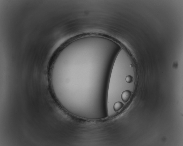 X0000101971022200807180721