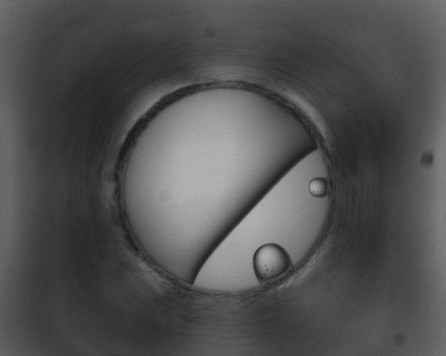 X0000101971023200807180721