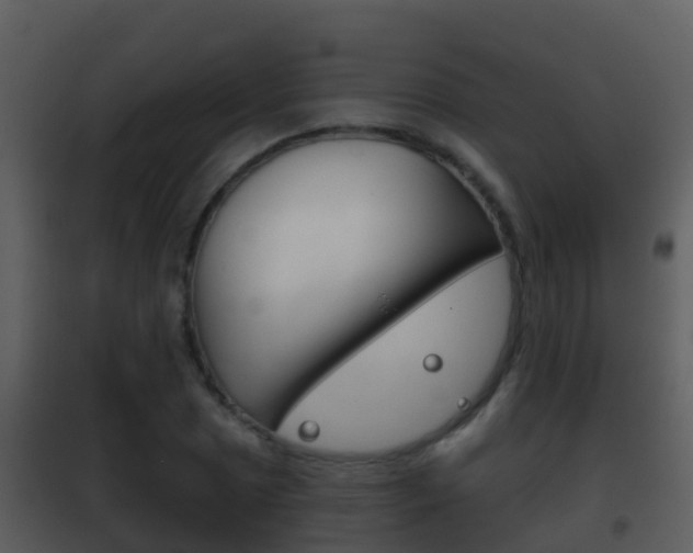 X0000101971025200807180721