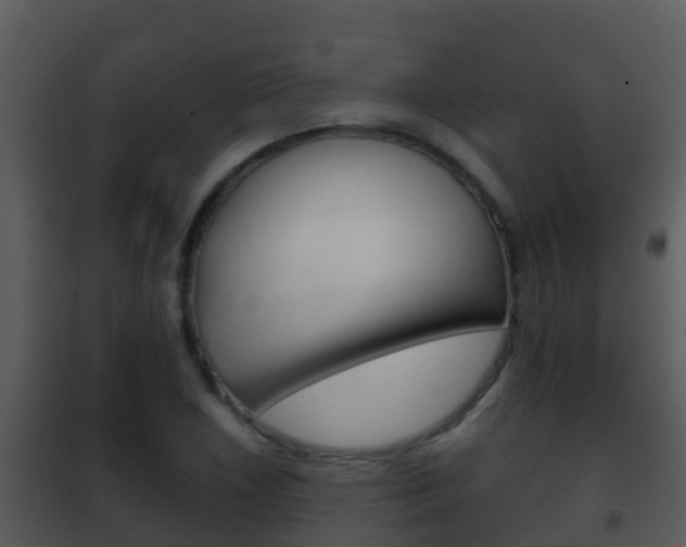 X0000101971026200807180721