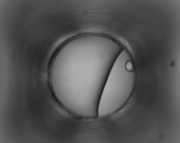 X0000101971027200807180721