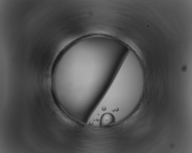 X0000101971028200807180722