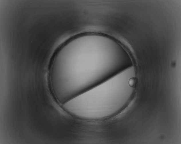 X0000101971029200807180722