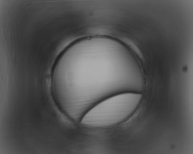 X0000101971031200807180722