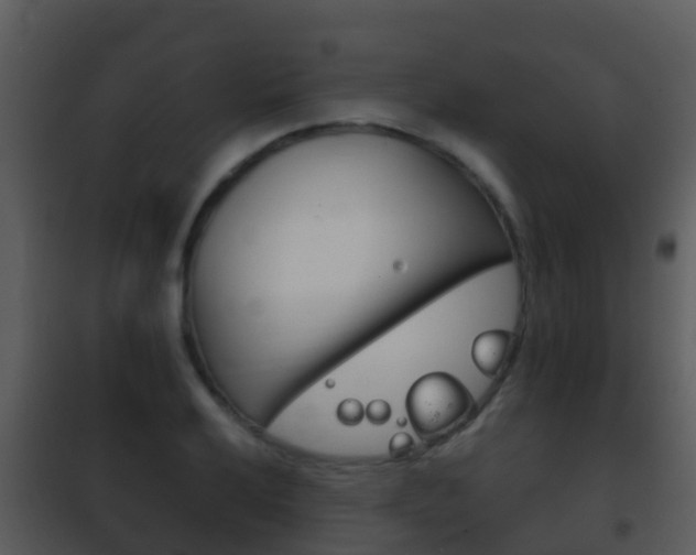 X0000101971032200807180722