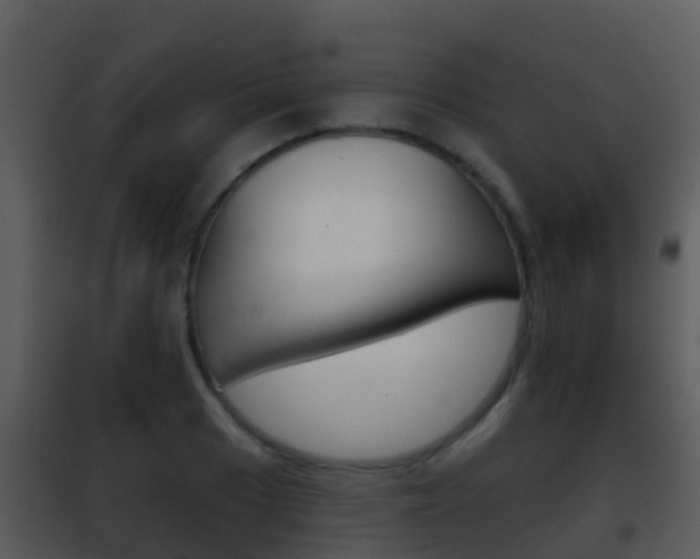 X0000101971033200807180722