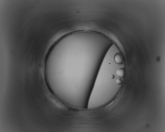 X0000101971035200807180722