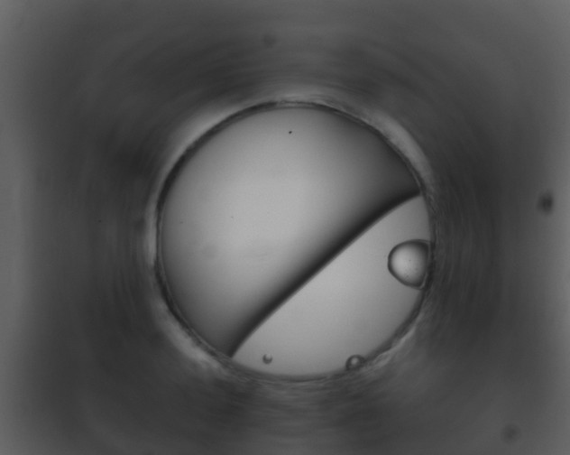 X0000101971036200807180722