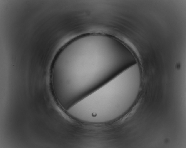 X0000101971037200807180722