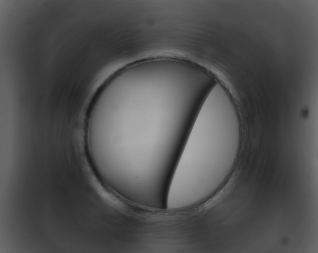 X0000101971038200807180722