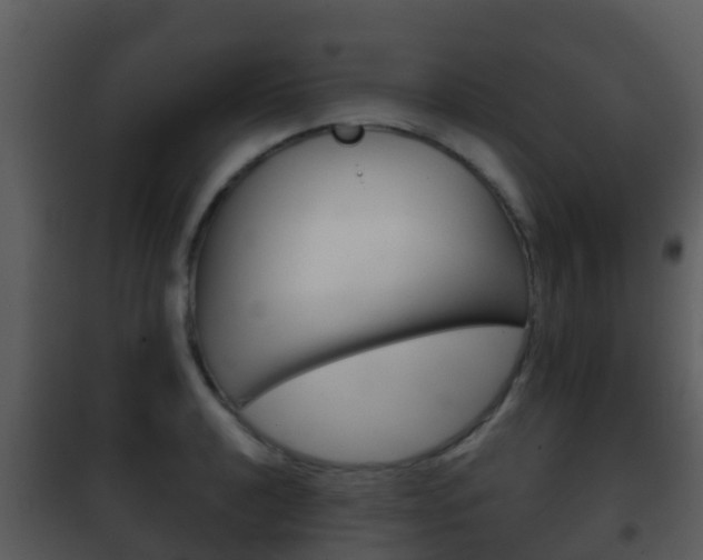 X0000101971040200807180722