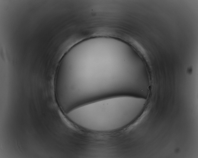 X0000101971041200807180722
