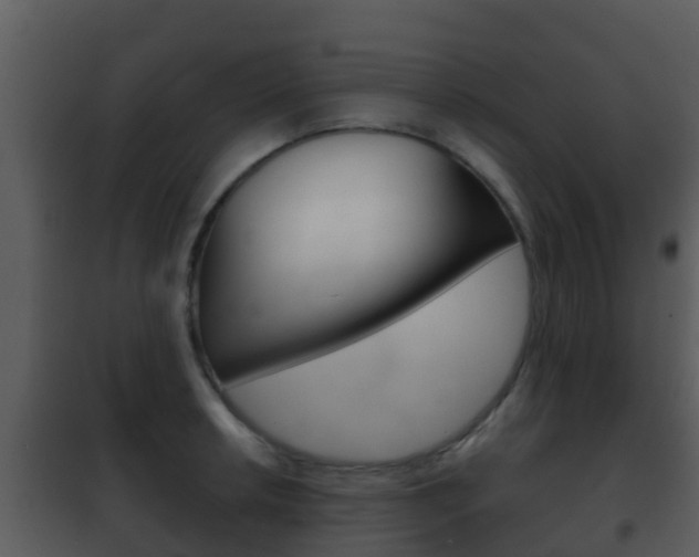 X0000101971042200807180722