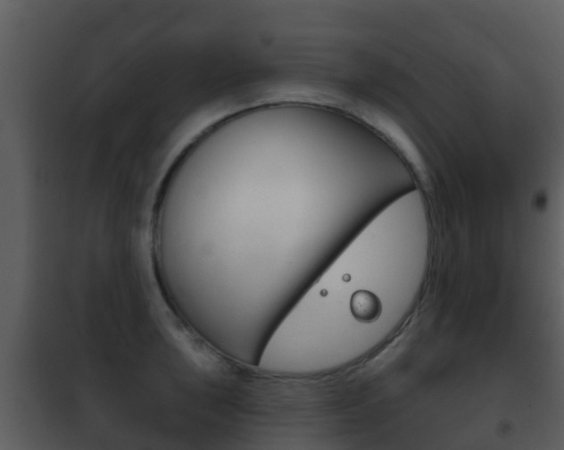X0000101971043200807180722