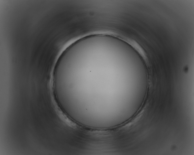 X0000101971044200807180722
