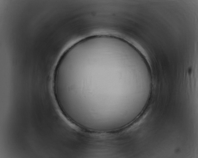 X0000101971045200807180722