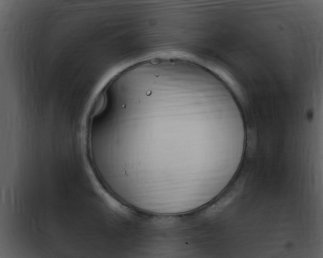 X0000101971046200807180722