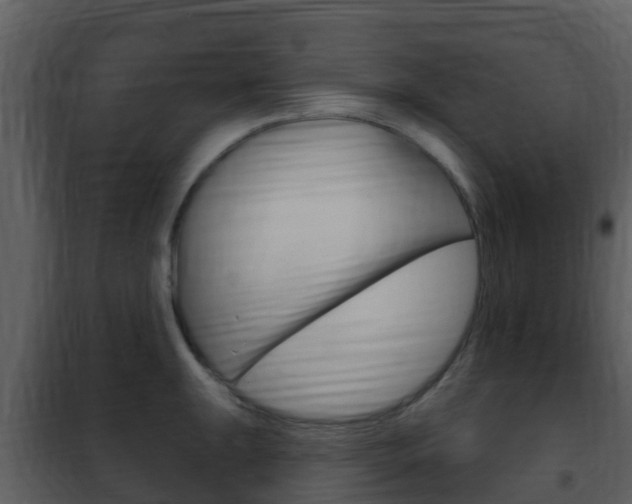 X0000101971047200807180722