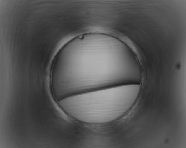 X0000101971048200807180722