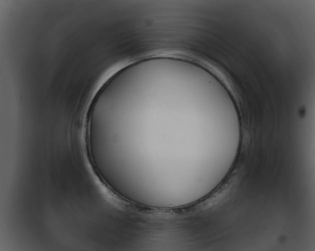 X0000101971050200807180722