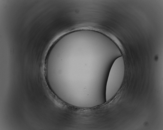 X0000101971051200807180722