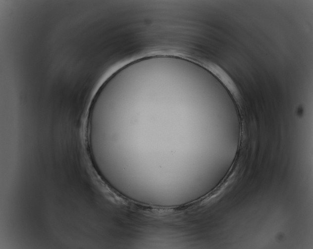 X0000101971052200807180722