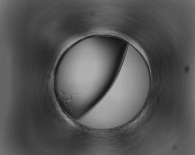 X0000101971053200807180722