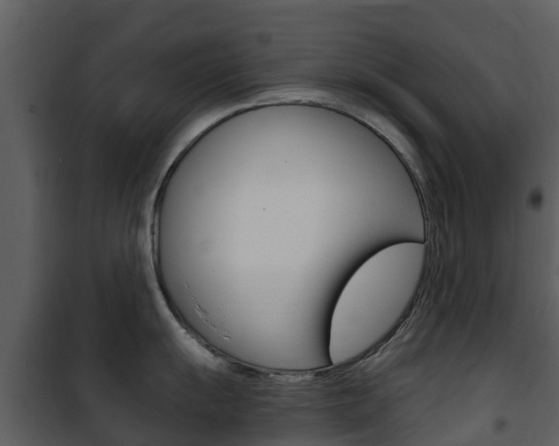 X0000101971055200807180722