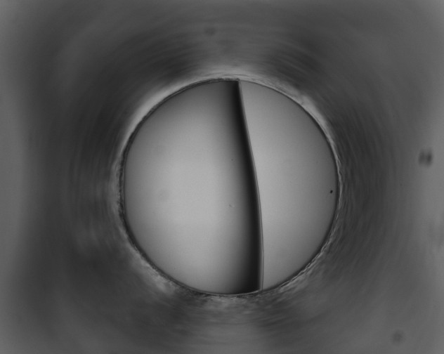X0000101971056200807180722