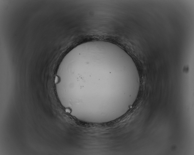 X0000101971057200807180721