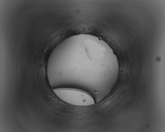 X0000101971058200807180721