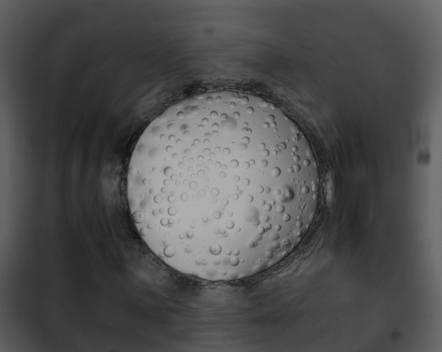 X0000101971059200807180721