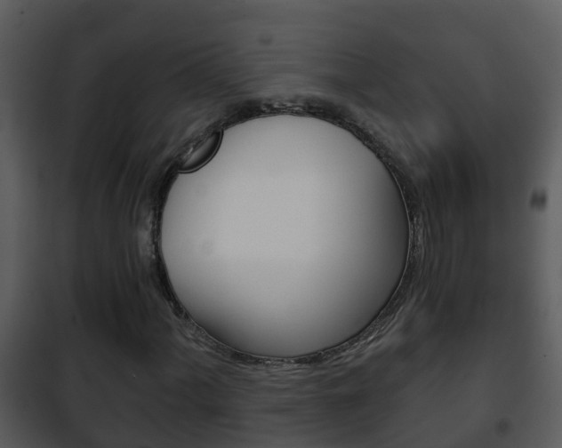 X0000101971060200807180721