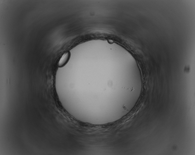 X0000101971061200807180721