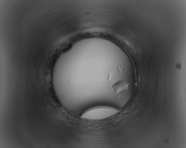 X0000101971062200807180721