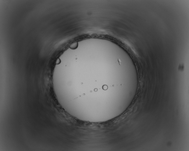 X0000101971063200807180721