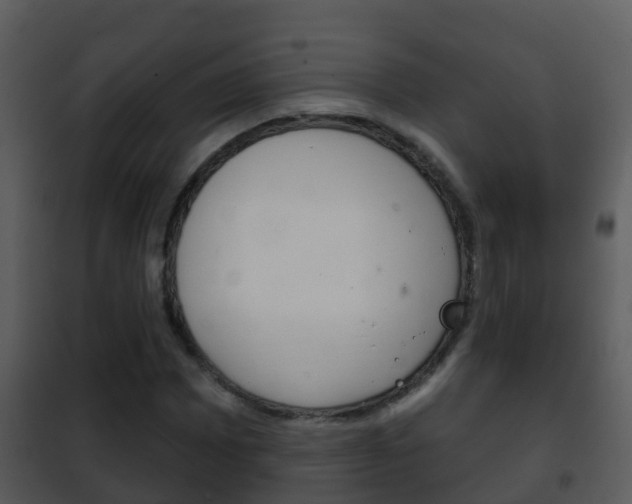 X0000101971065200807180721