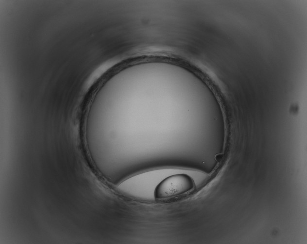 X0000101971066200807180721