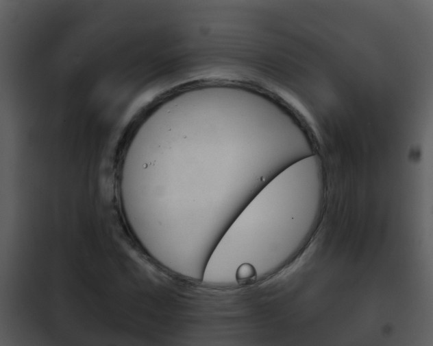 X0000101971067200807180721
