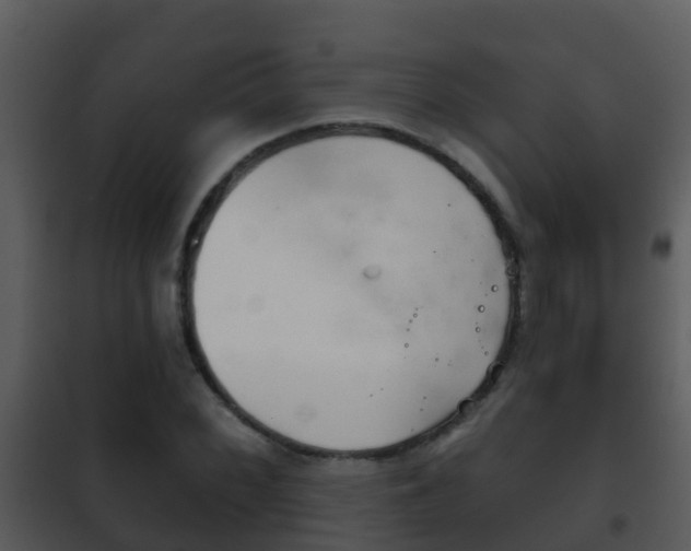 X0000101971068200807180721