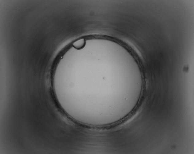 X0000101971069200807180721