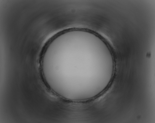 X0000101971070200807180721