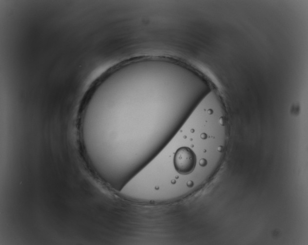 X0000101971071200807180721