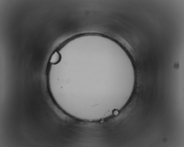 X0000101971072200807180721